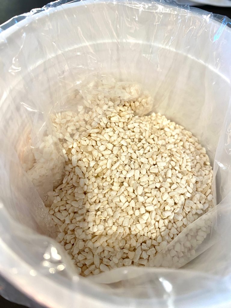 Rice koji in a container