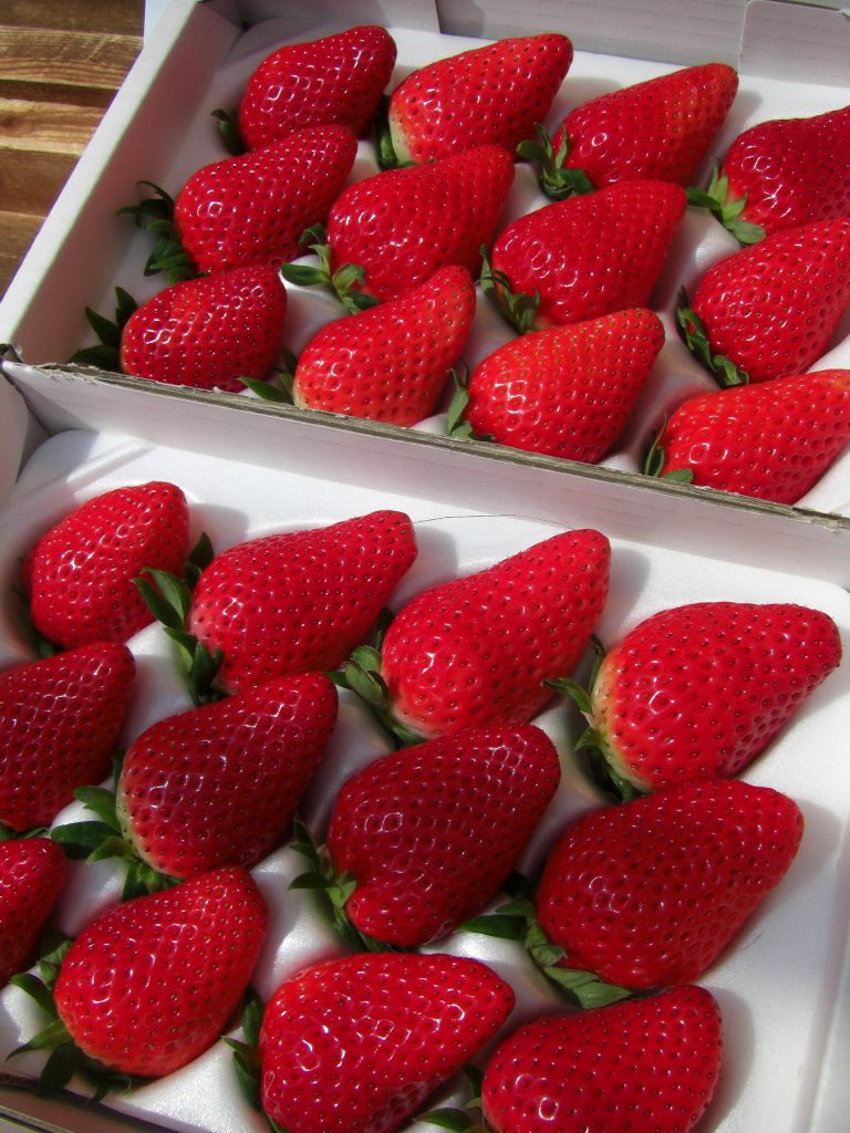 Delicious Japanese strawberries