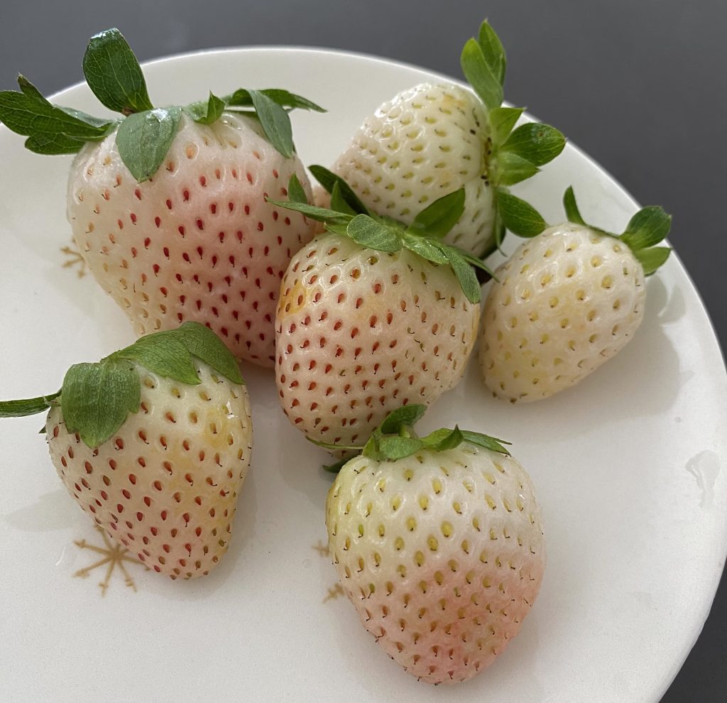 White strawberries from Trader Joe's