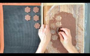 Cut out cookie dough